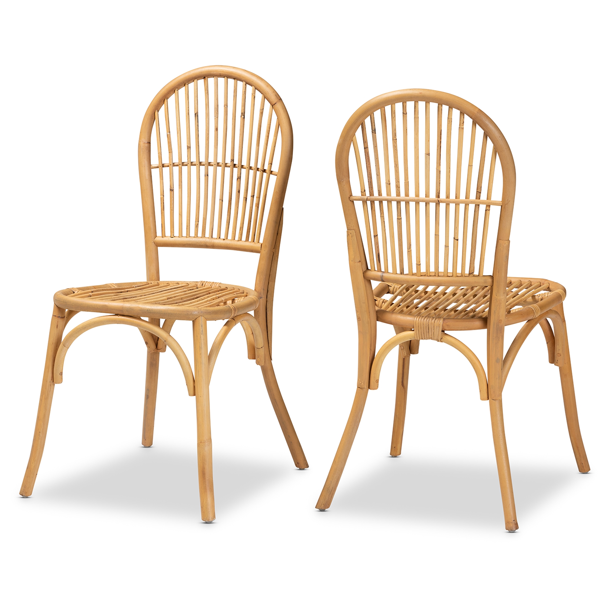 baxton studio sparrow dining chairs